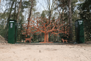 de-charme-van-een-sierpoort
